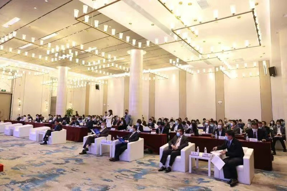 2020年中国-东盟电力合作与发展论坛
